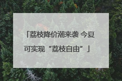 荔枝降价潮来袭 今夏可实现“荔枝自由”