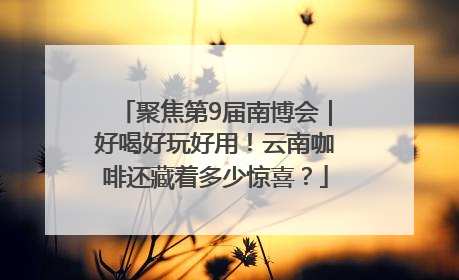 聚焦第9届南博会｜好喝好玩好用！云南咖啡还藏着多少惊喜？