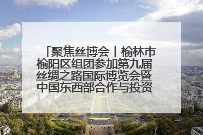 聚焦丝博会丨榆林市榆阳区组团参加第九届丝绸之路国际博览会暨中国东西部合作与投资贸易洽谈会