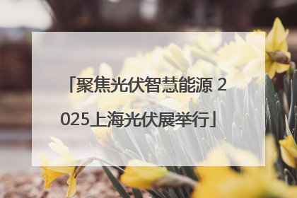 聚焦光伏智慧能源 2025上海光伏展举行
