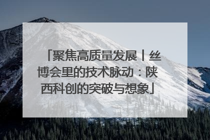 聚焦高质量发展丨丝博会里的技术脉动：陕西科创的突破与想象