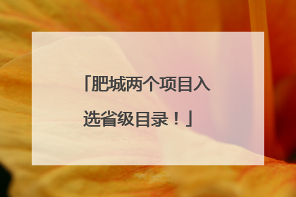 肥城两个项目入选省级目录！