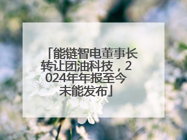能链智电董事长转让团油科技，2024年年报至今未能发布