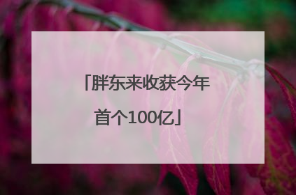 胖东来收获今年首个100亿