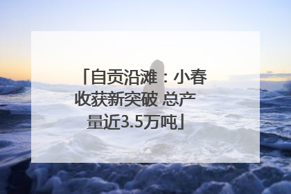自贡沿滩：小春收获新突破 总产量近3.5万吨