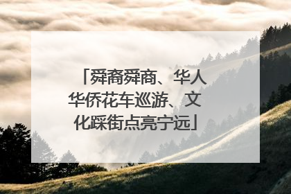 舜裔舜商、华人华侨花车巡游、文化踩街点亮宁远