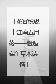 花容悦貌丨江南五月花——邂逅端午草木诗情