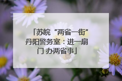苏皖“两省一街”丹阳警务室：进一扇门 办两省事