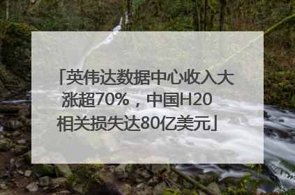 英伟达数据中心收入大涨超70%，中国H20相关损失达80亿美元