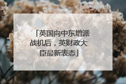 英国向中东增派战机后，英财政大臣最新表态