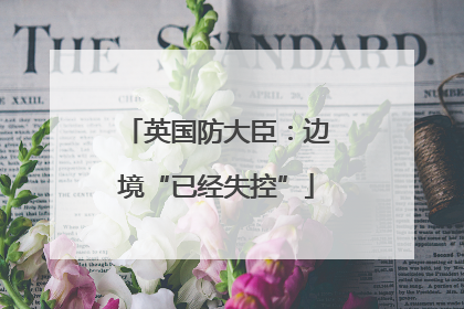 英国防大臣：边境“已经失控”
