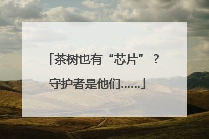 茶树也有“芯片”？守护者是他们……