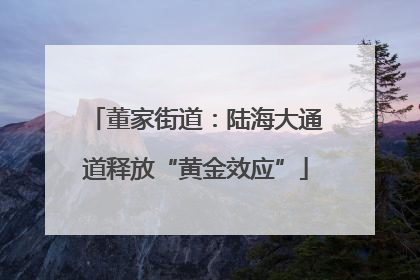 董家街道：陆海大通道释放“黄金效应”