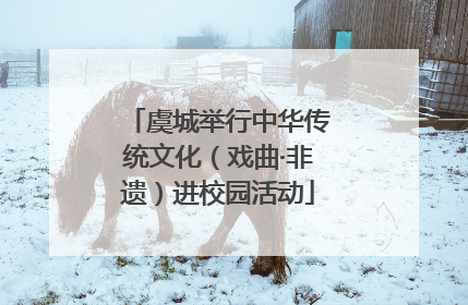 虞城举行中华传统文化（戏曲·非遗）进校园活动