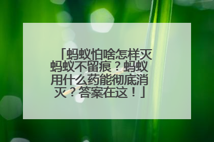 蚂蚁怕啥怎样灭蚂蚁不留痕？蚂蚁用什么药能彻底消灭？答案在这！