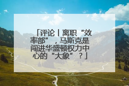 评论丨离职“效率部”，马斯克是闯进华盛顿权力中心的“大象”？
