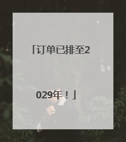 订单已排至2029年！