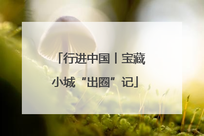 行进中国丨宝藏小城“出圈”记