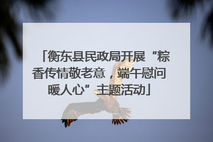 衡东县民政局开展“粽香传情敬老意，端午慰问暖人心”主题活动