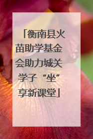 衡南县火苗助学基金会助力城关学子“坐”享新课堂