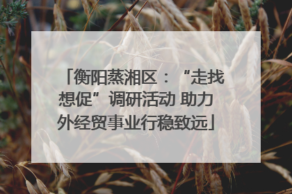 衡阳蒸湘区：“走找想促”调研活动 助力外经贸事业行稳致远