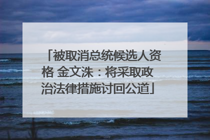 被取消总统候选人资格 金文洙：将采取政治法律措施讨回公道