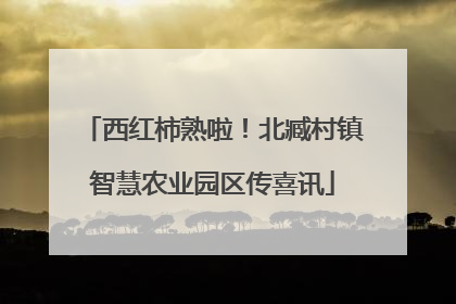 西红柿熟啦！北臧村镇智慧农业园区传喜讯