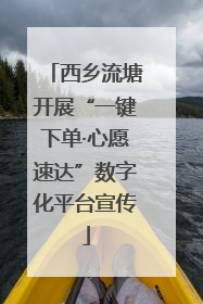 西乡流塘开展“一键下单·心愿速达”数字化平台宣传