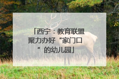 西宁：教育联盟聚力办好“家门口”的幼儿园