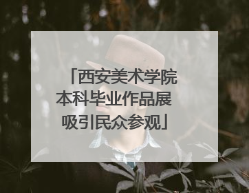 西安美术学院本科毕业作品展吸引民众参观