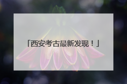 西安考古最新发现！