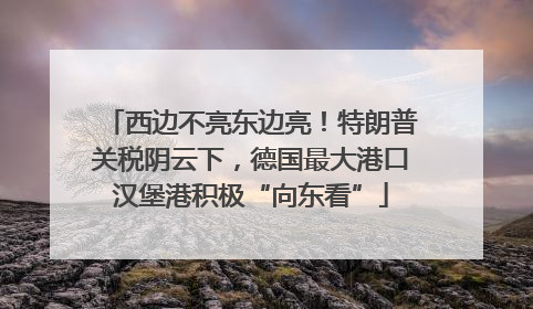西边不亮东边亮！特朗普关税阴云下，德国最大港口汉堡港积极“向东看”