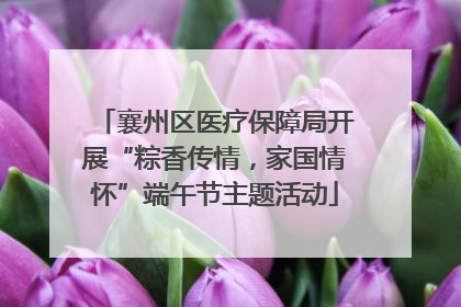襄州区医疗保障局开展“粽香传情，家国情怀”端午节主题活动