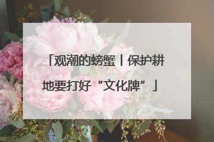 观潮的螃蟹丨保护耕地要打好“文化牌”
