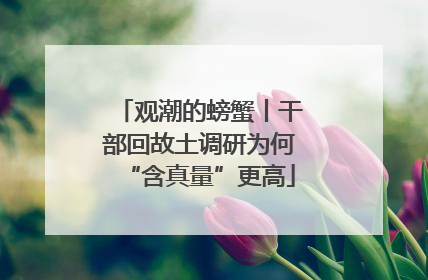 观潮的螃蟹丨干部回故土调研为何“含真量”更高