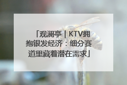 观澜亭｜KTV拥抱银发经济：细分赛道里藏着潜在需求