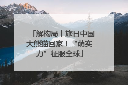 解构局丨旅日中国大熊猫回家！“萌实力”征服全球