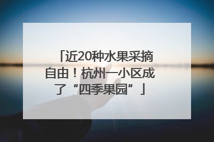 近20种水果采摘自由！杭州一小区成了“四季果园”