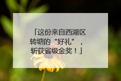 这份来自西湖区转塘的“好礼”，斩获省级金奖！