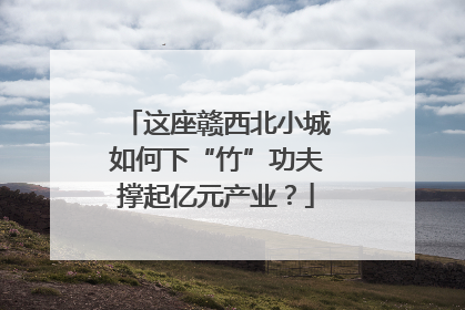 这座赣西北小城如何下“竹”功夫撑起亿元产业？