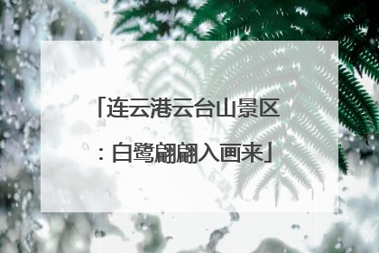 连云港云台山景区：白鹭翩翩入画来