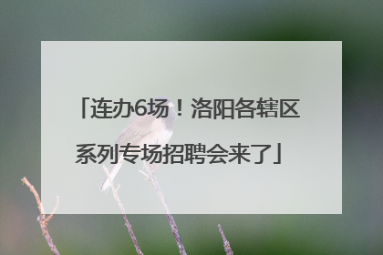 连办6场！洛阳各辖区系列专场招聘会来了