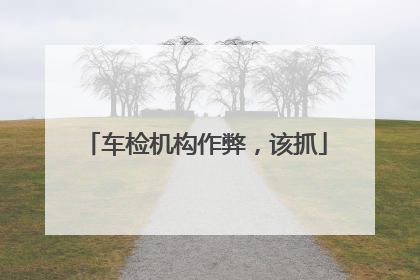 车检机构作弊，该抓