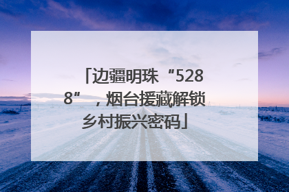边疆明珠“5288”，烟台援藏解锁乡村振兴密码