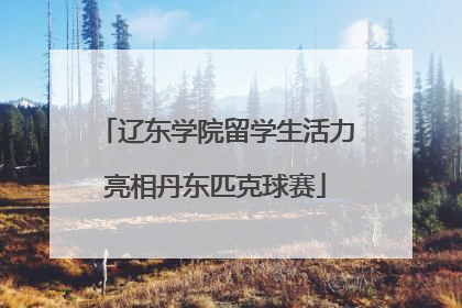 辽东学院留学生活力亮相丹东匹克球赛