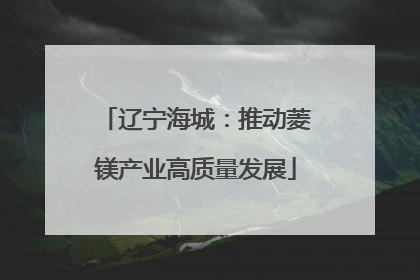 辽宁海城：推动菱镁产业高质量发展