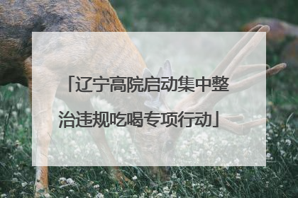 辽宁高院启动集中整治违规吃喝专项行动