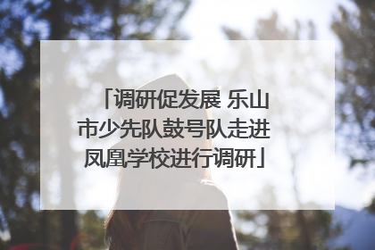 调研促发展 乐山市少先队鼓号队走进凤凰学校进行调研
