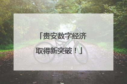 贵安数字经济取得新突破！