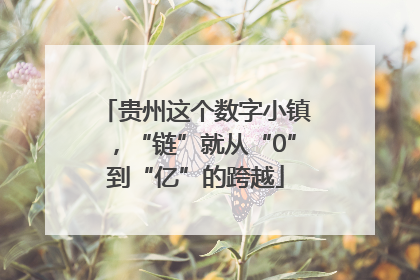 贵州这个数字小镇，“链”就从“0”到“亿”的跨越